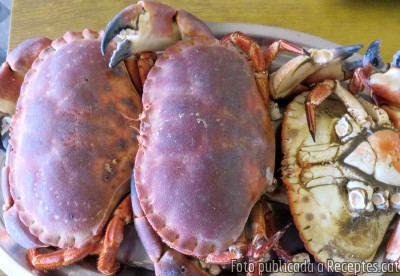 Marisc fresc bullit (nècores, bous de mar, escamarlans i peus de cabra comú o percebes)